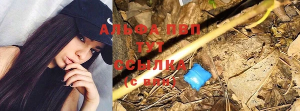 mix Пересвет