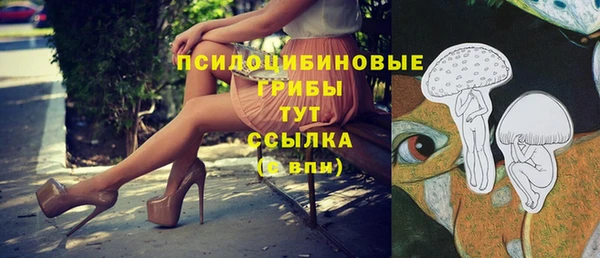 mix Пересвет