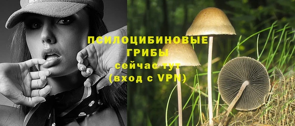 mix Пересвет