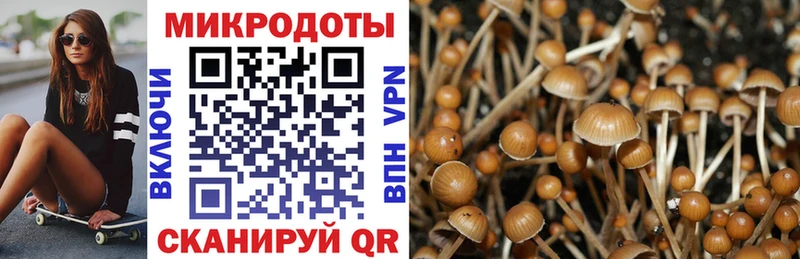 где купить наркоту omg сайт Галлюциногенные грибы Psilocybine cubensis Агрыз
