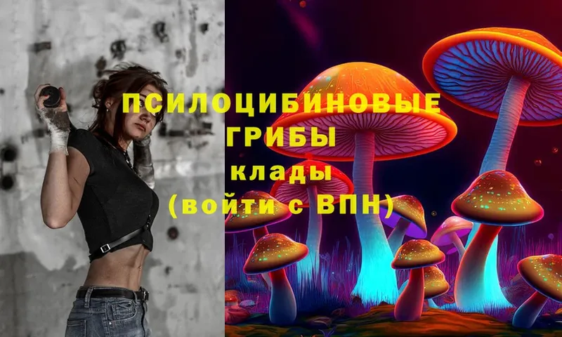 кракен онион  купить закладку  Агрыз  Псилоцибиновые грибы MAGIC MUSHROOMS 